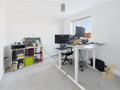 Picture 15